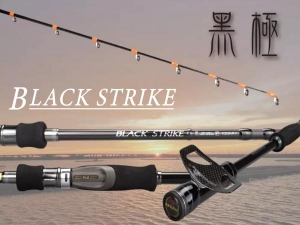 PROTAKO 黑極へチ BLACK STRIHE 100XH 